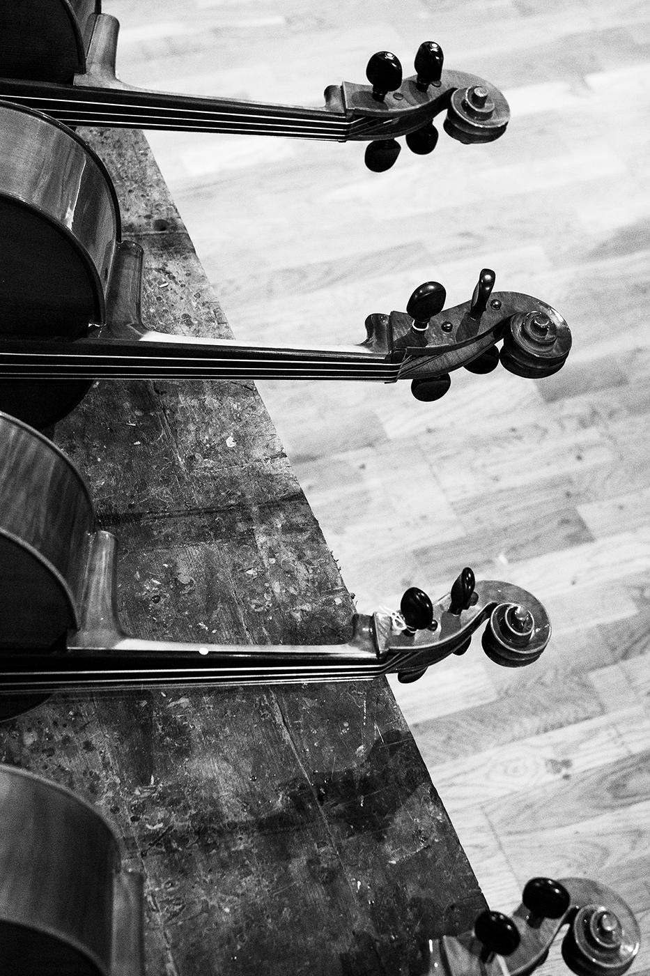 Athelier Luthier
